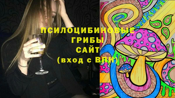 ПСИЛОЦИБИНОВЫЕ ГРИБЫ Абинск